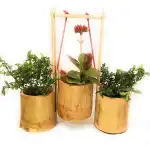 Bamboo Planter